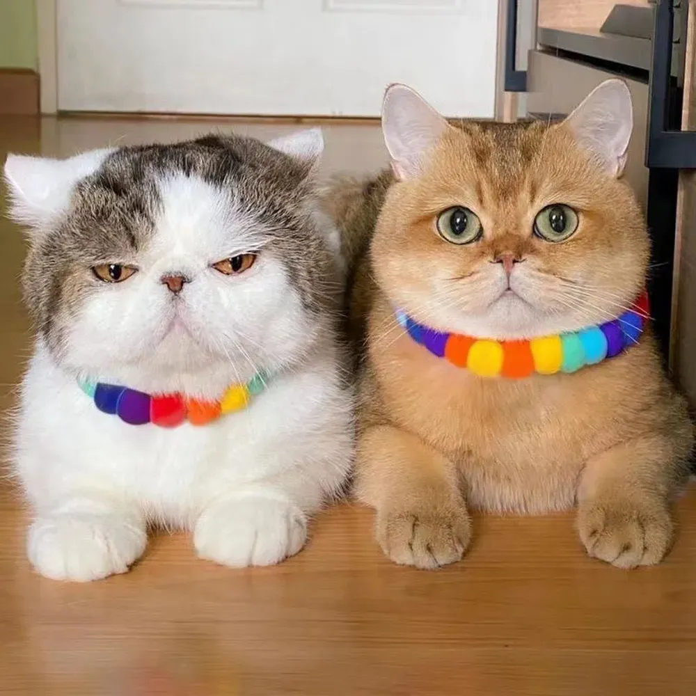 Designed with adjustable sizing, this collar provides a comfortable and secure fit for both cats and small dogs, making it a versatile product that suits a wide range of pet owners.