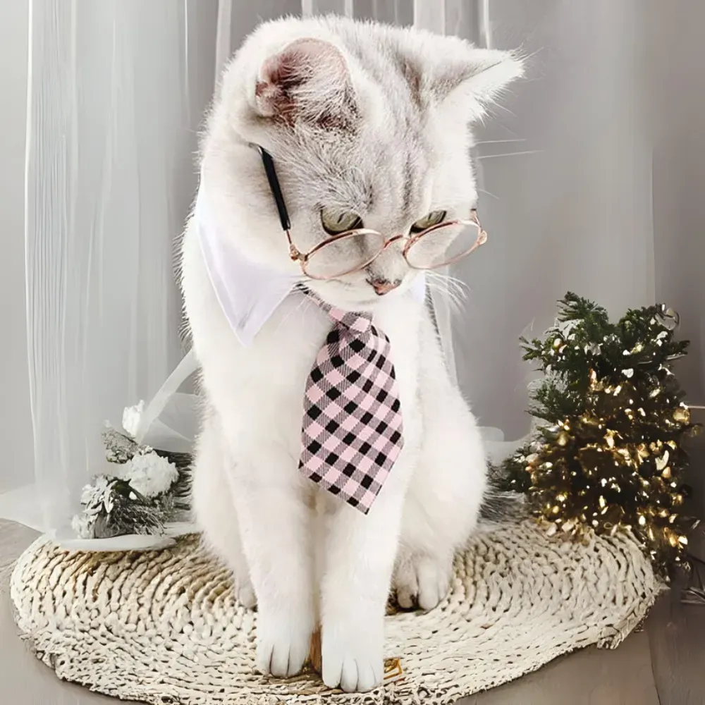 Pet Necktie Collar Dog Collar Cat Collar