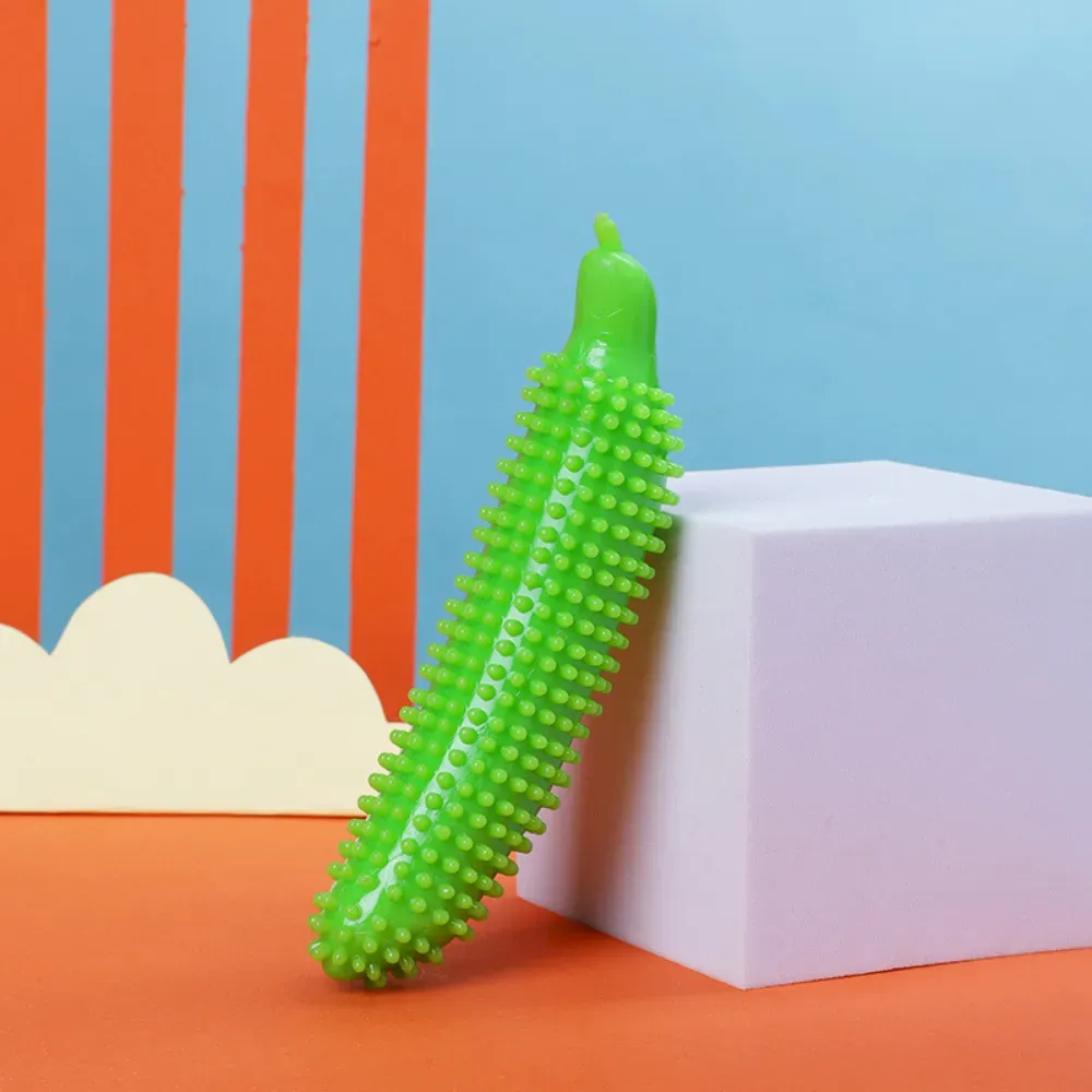 dog chew toy for teeth