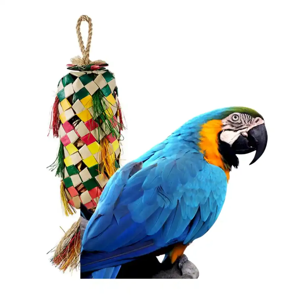 Bird Toy Supplier