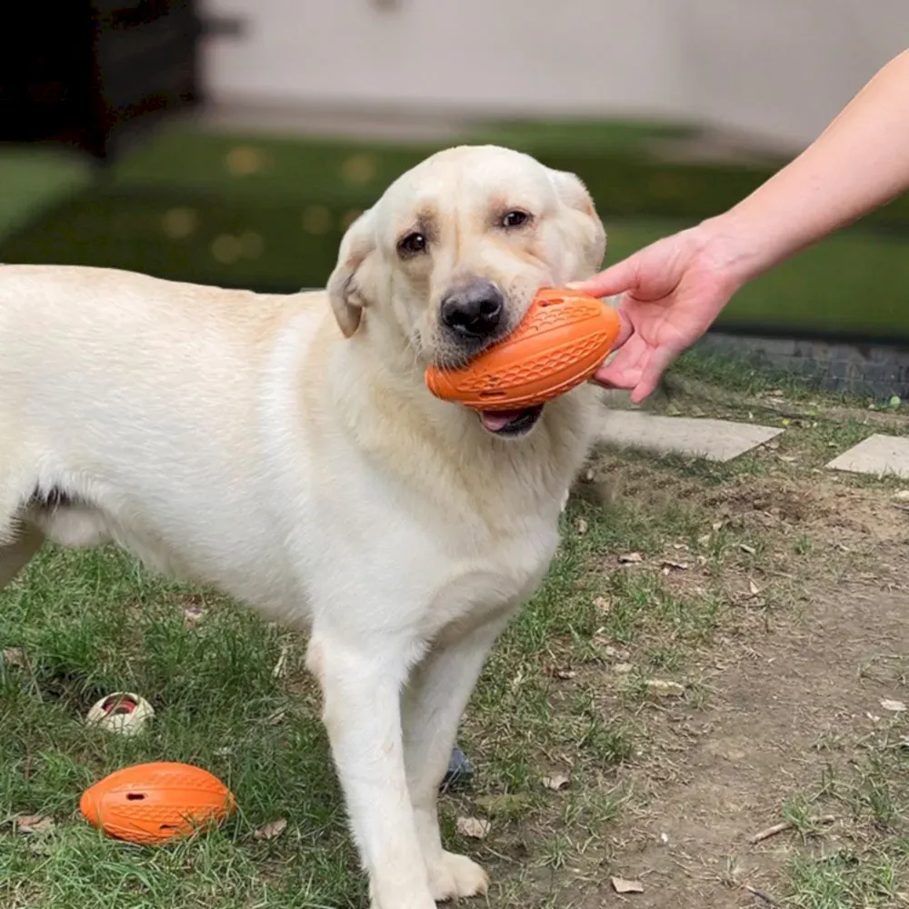 puzzle Rugby Dog Toys bulk