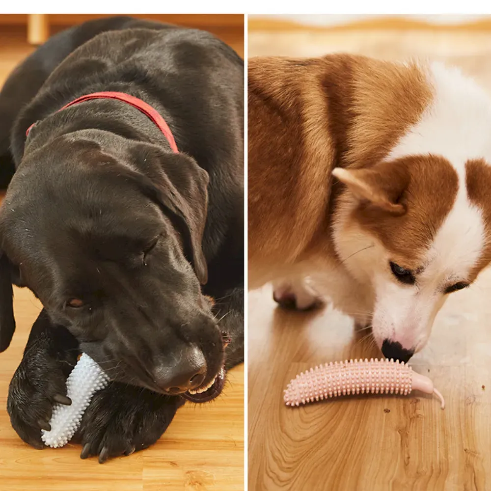 dog toy for mental stimulation outdoor dog chew toy