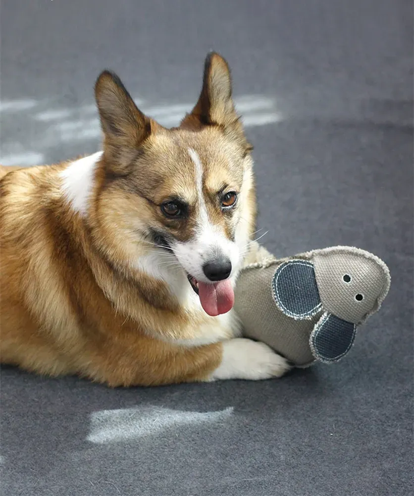 dog chew toy (2) With its interactive sound feature, this toy keeps dogs entertained while they chew, making it an excellent choice for pet businesses looking to provide products that promote active play and training.