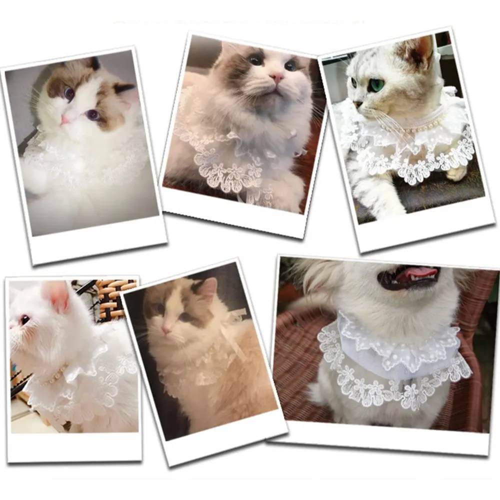Firework Pattern White Lace Pet Collar