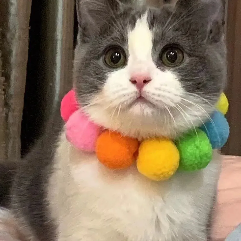 Featuring a fun and vibrant pom-pom design, this collar is perfect for pets who love to stand out. It’s an excellent option for pet stores looking to cater to pet owners seeking fashionable accessories for their pets.