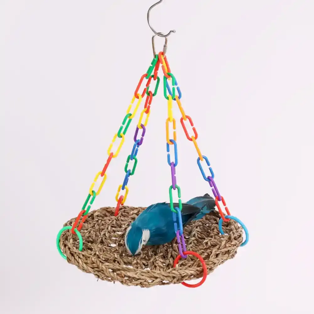 Small Pet Bird Toy Wholesale