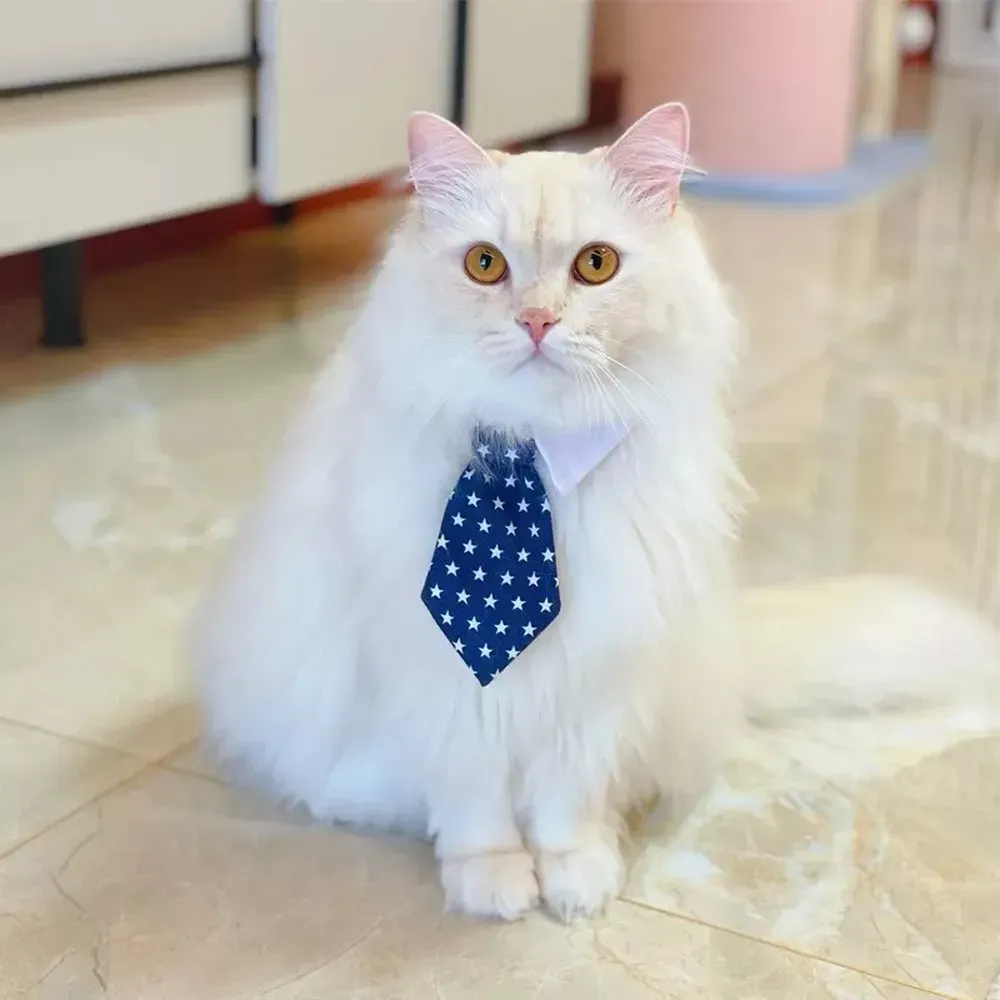 Pet Necktie Collar Dog Collar Cat Collar