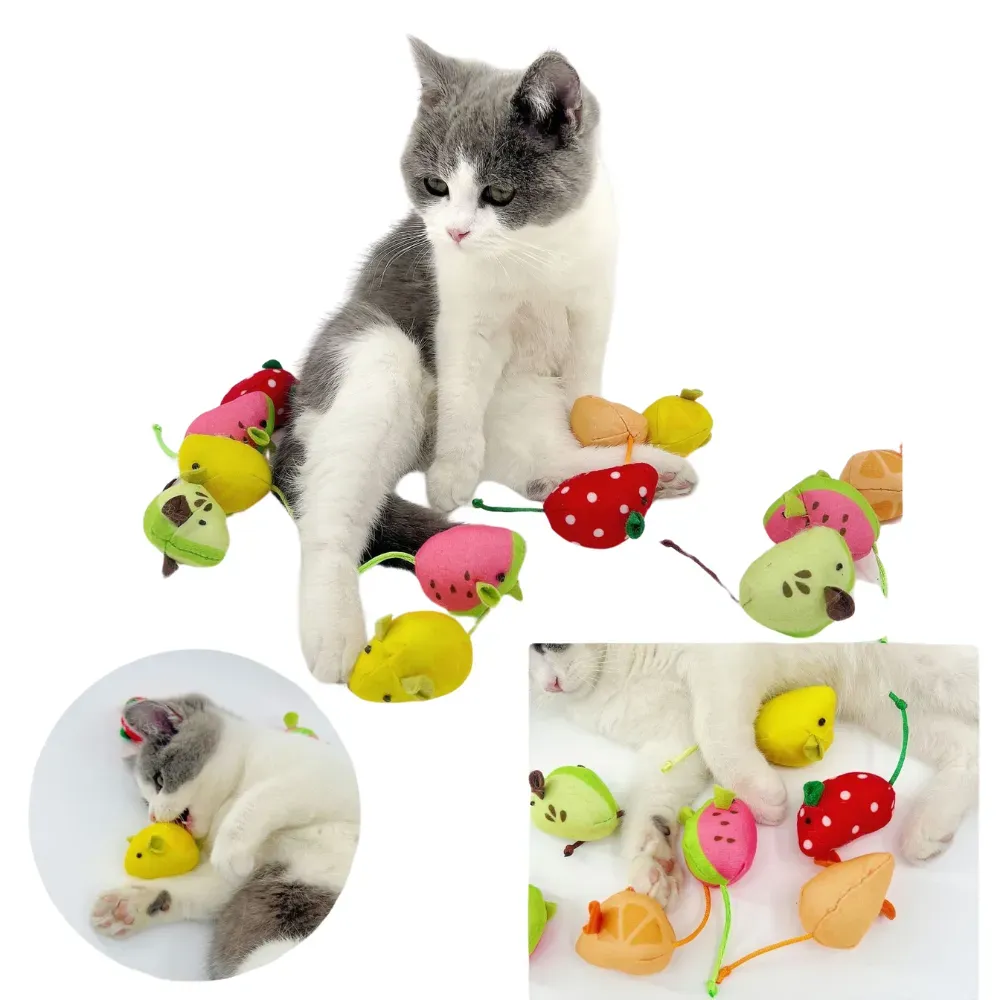 Stimulate your cat’s curiosity with this fruit-themed interactive toy series, featuring durable construction and exciting crinkle and bell sounds.
