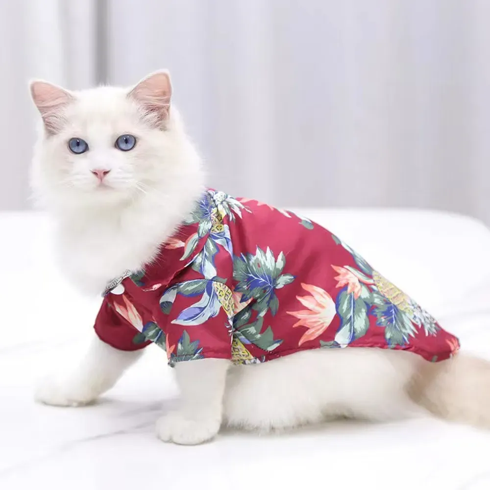 Easy to put on and take off, this UV-protective dog shirt is a convenient and comfortable clothing option for small to medium-sized dogs. It’s ideal for pet businesses looking to stock practical yet stylish pet apparel.