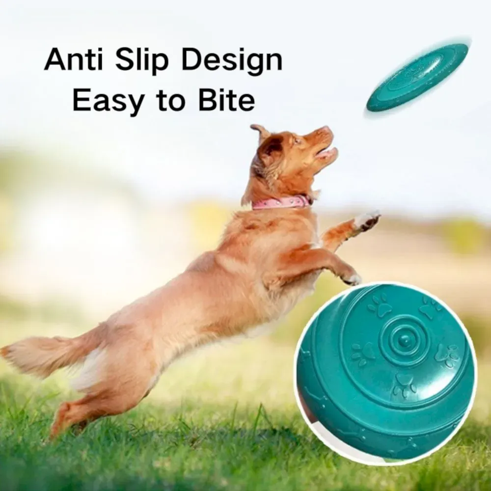 dog toy frisbee bulk