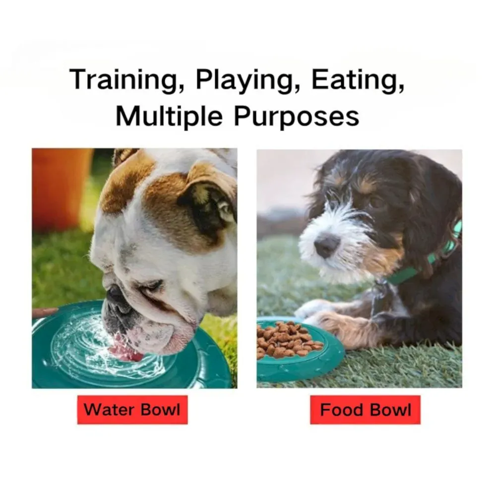 dog toy frisbee usage