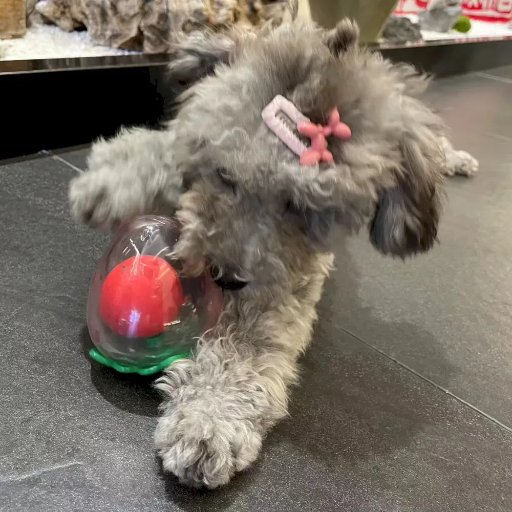 durable dog toy squeaky dog toy for small breeds