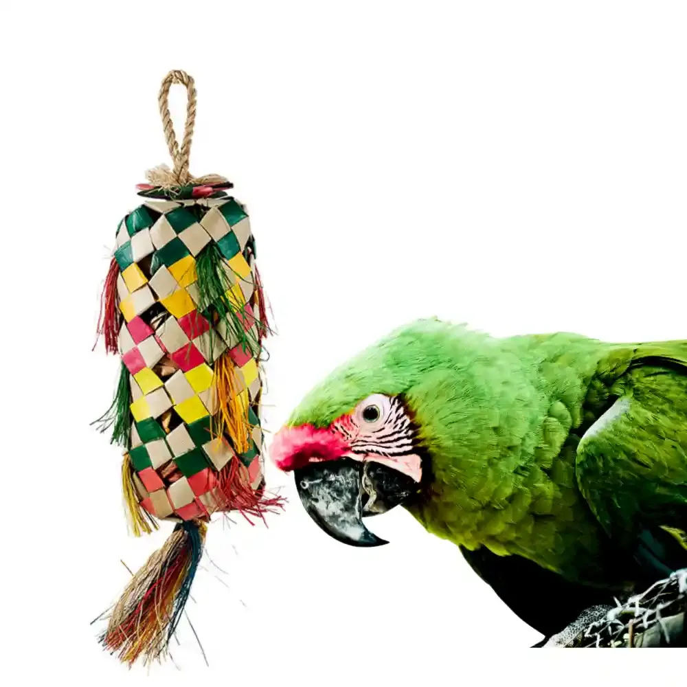 Bird Toy OEM
