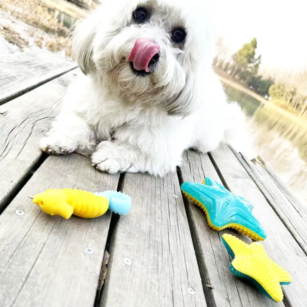 Floatable Dog Toys