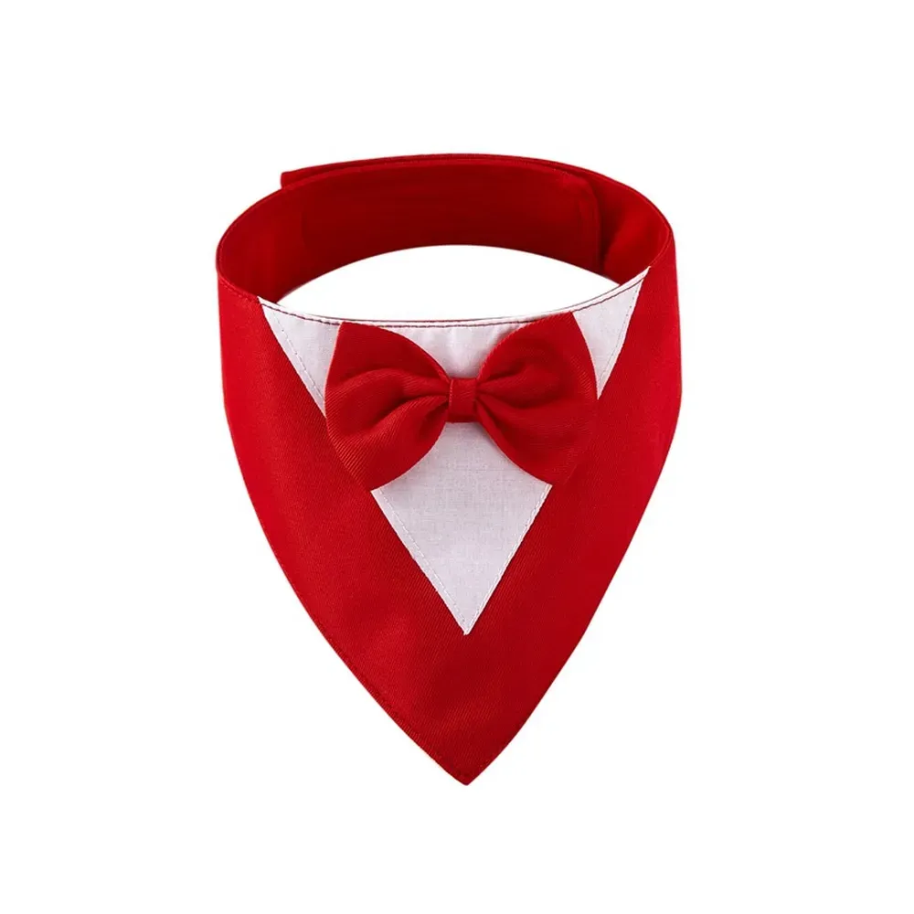 Formal Suit with Bow Tie Dog Collar Black