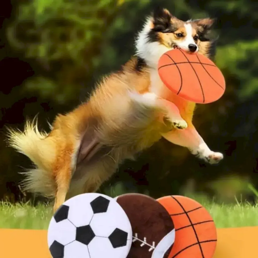 Plush Squeaky Toys