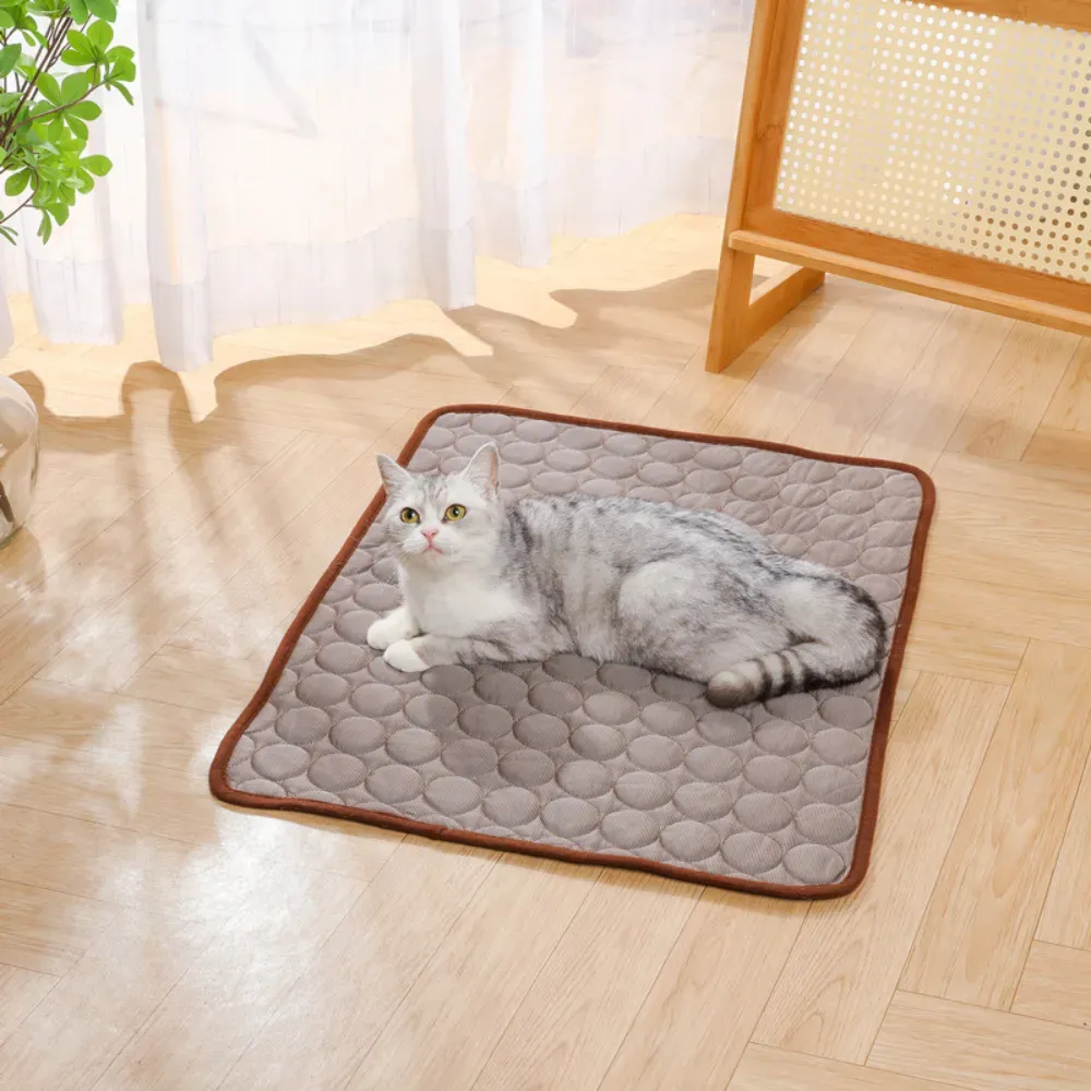 Great dog cooling mat