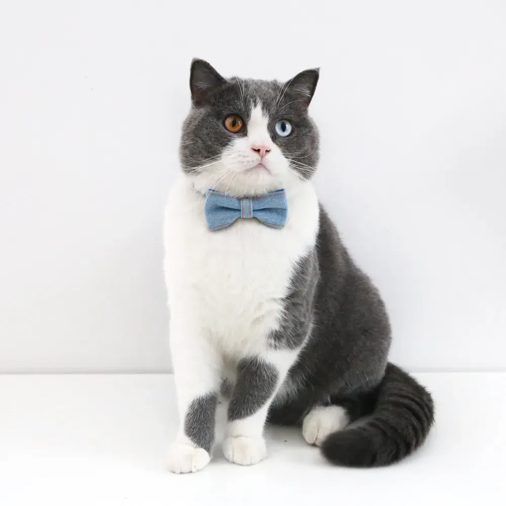 The adjustable neck strap provides a customizable fit for cats and dogs of different sizes, making this collar set an easy choice for pet owners looking for convenience and flexibility.