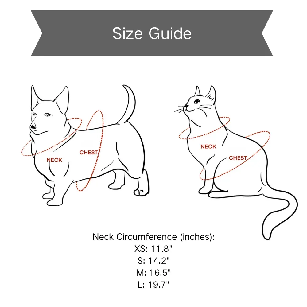 Formal Suit with Bow Tie Dog Collar Black
