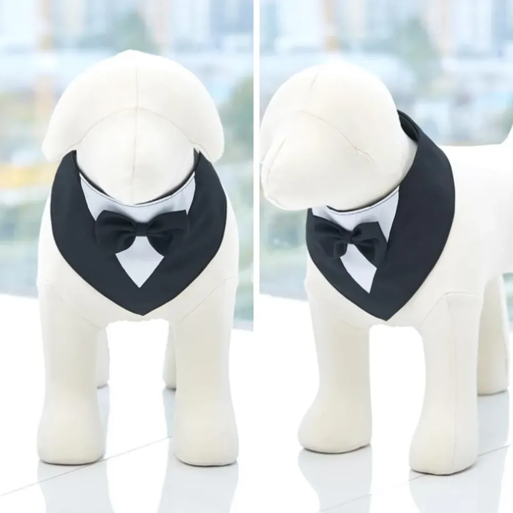 Formal Suit with Bow Tie Dog Collar Black