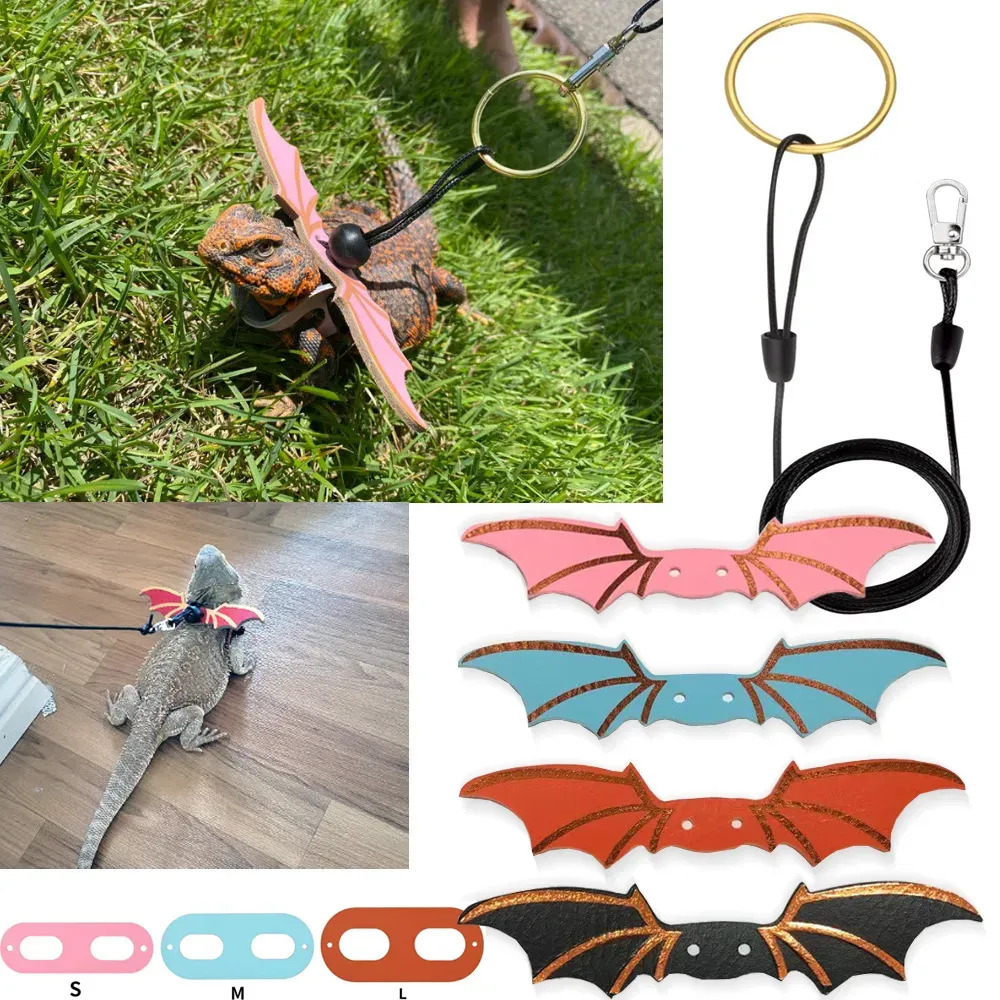Lizard Leash Harness Set