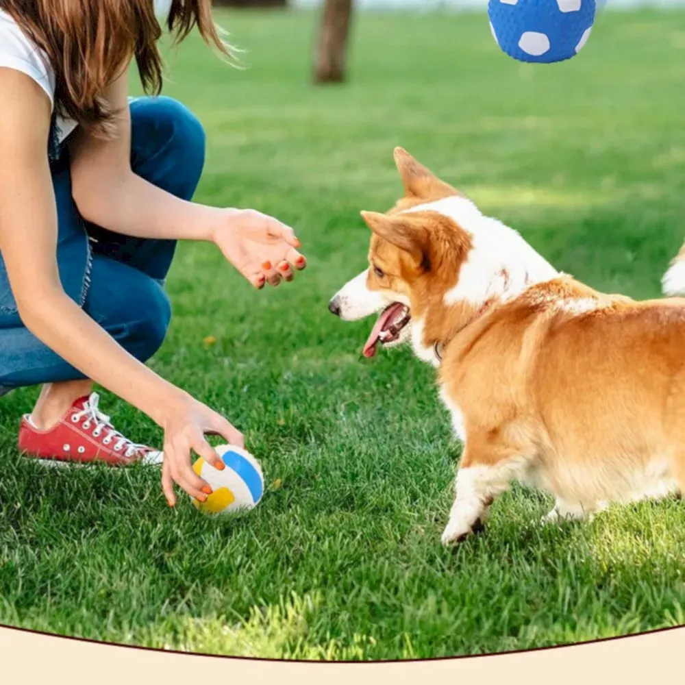 Volleyball Dog Toy Wholesale
