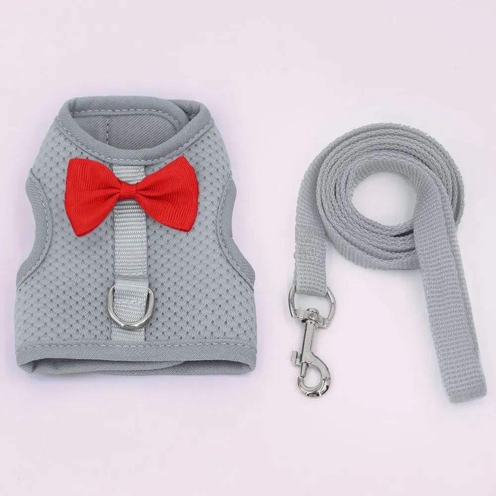Grey Rabbit Harness Leash Set Grey Rabbit Harness Leash Set