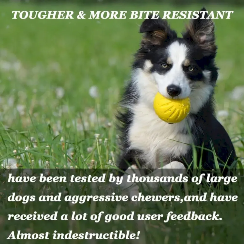 Dog Toy Fetch Ball wholesale Dog Toy Fetch Ball wholesale