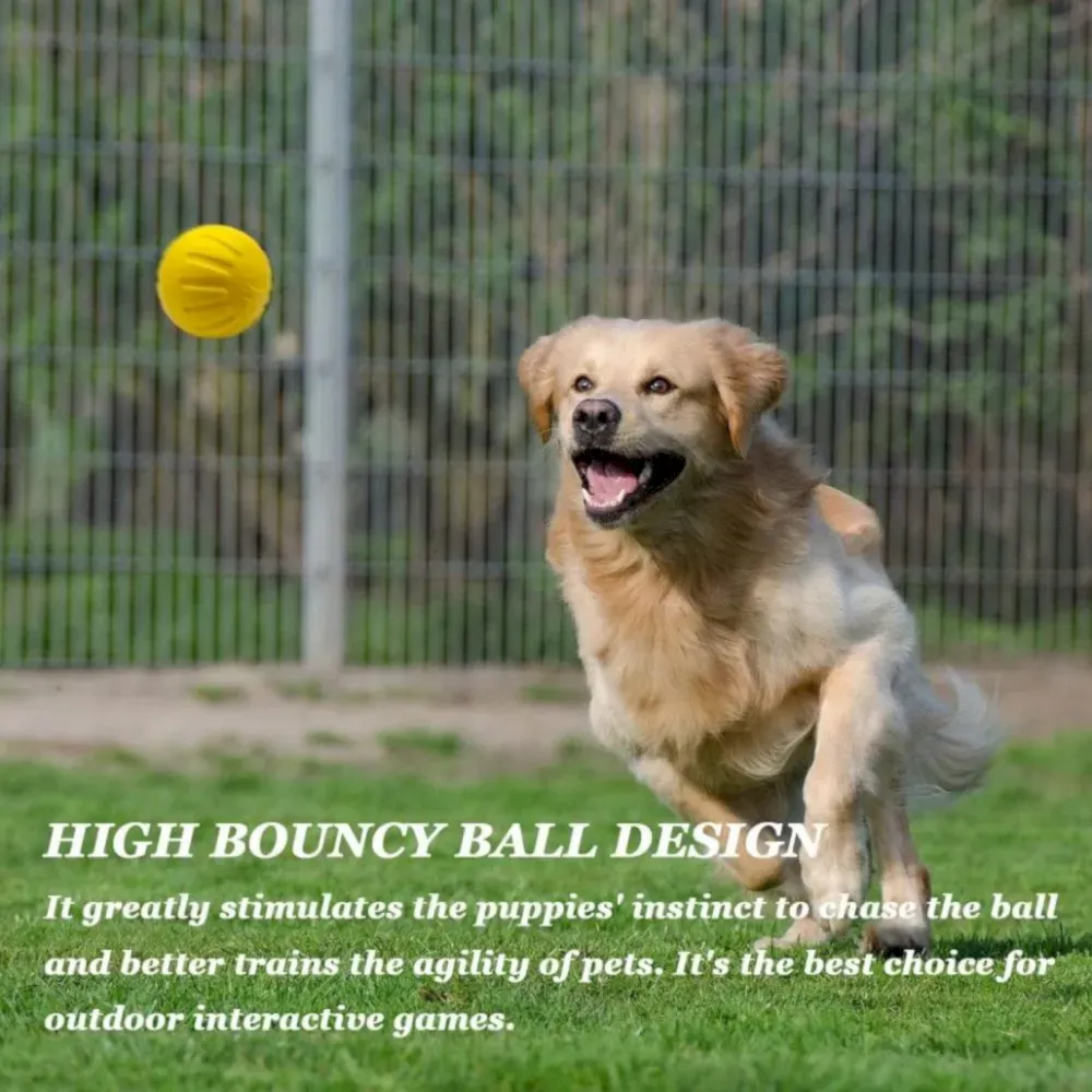 Floating dog ball Floating dog ball