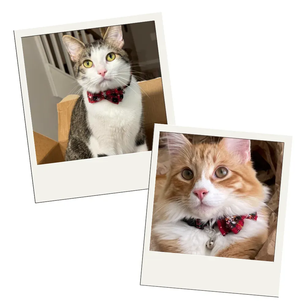 Snowflake Pattern Bow tie Pet Collar with Bell 