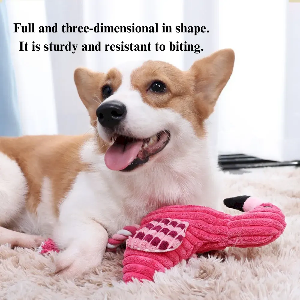 Dog and cat chew toys
