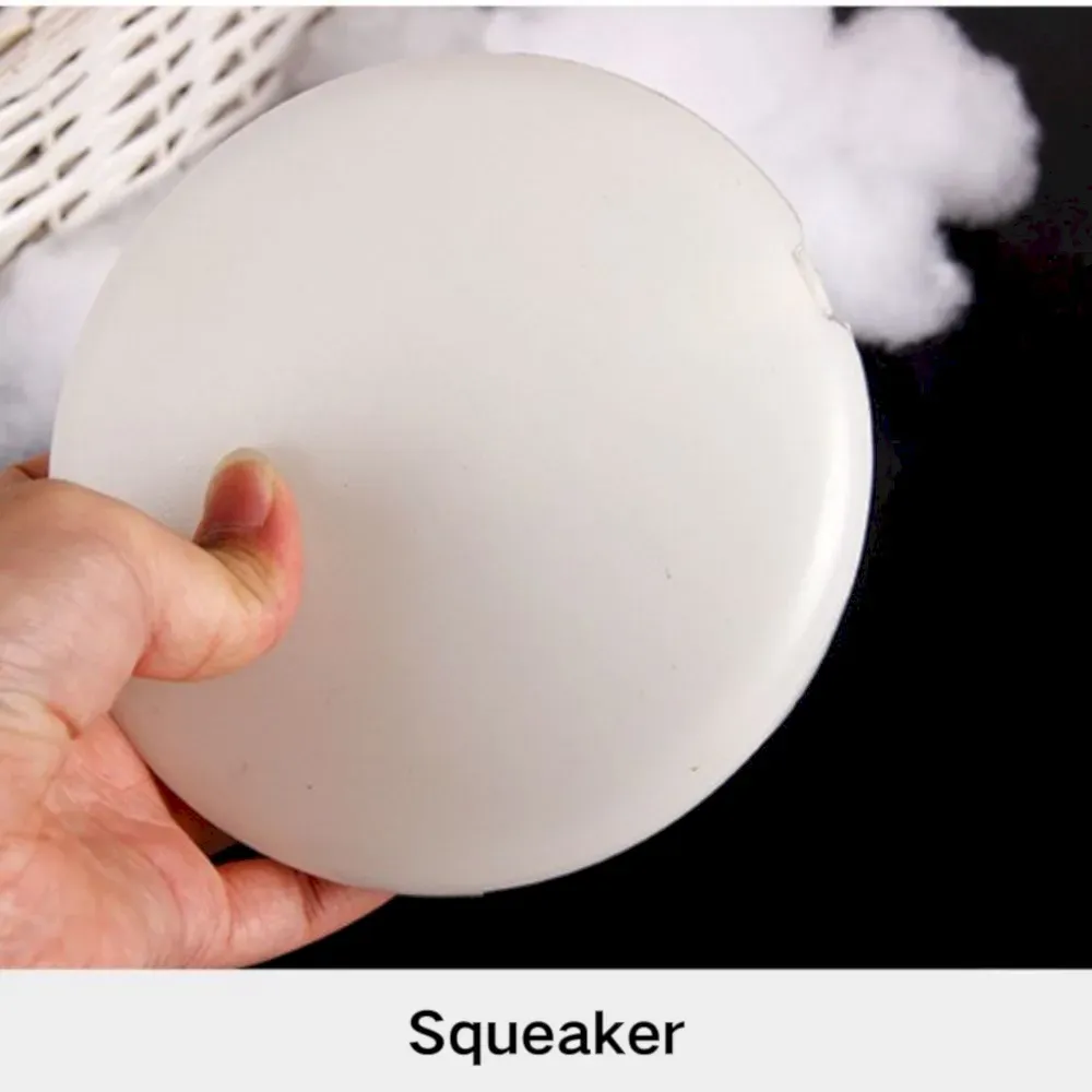 Dog Flying Disc with squeaker Dog Flying Disc with squeaker