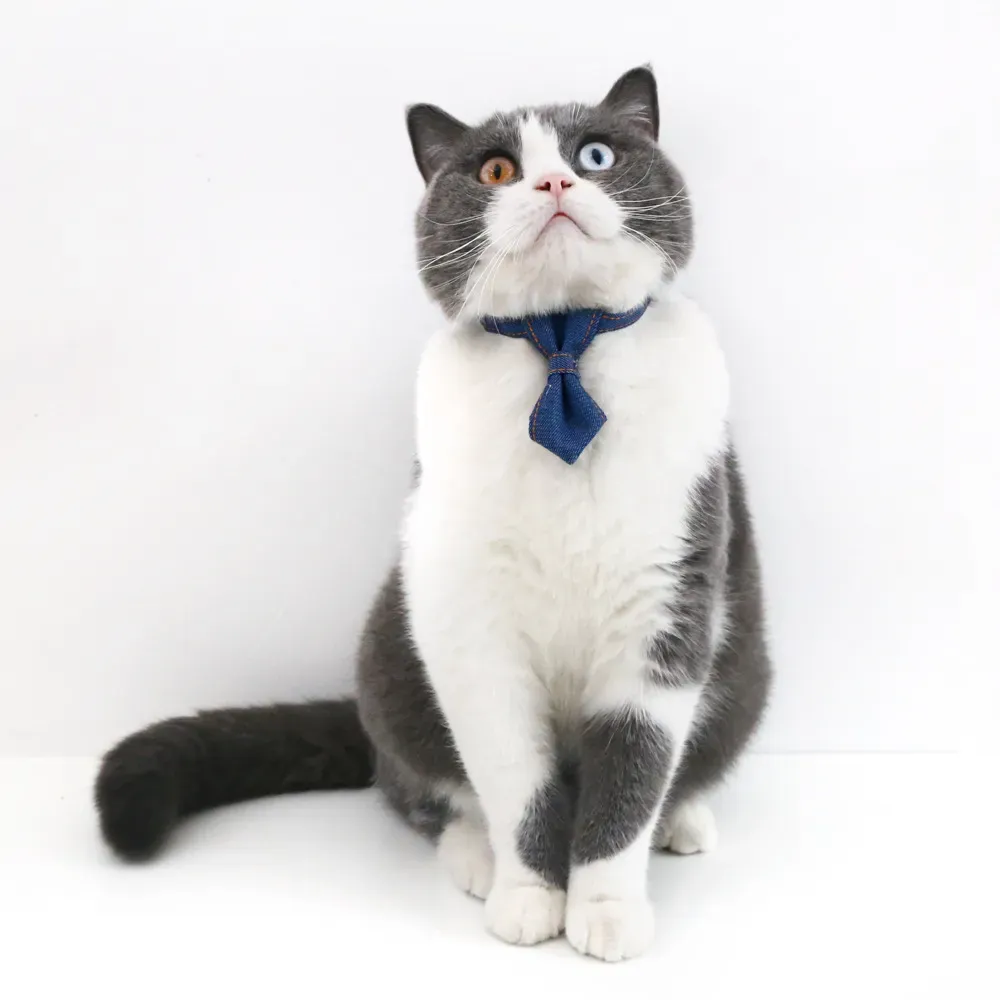 With its elegant and fashionable design, this denim collar set adds a touch of charm to pets, making it perfect for photoshoots, parties, or everyday wear.