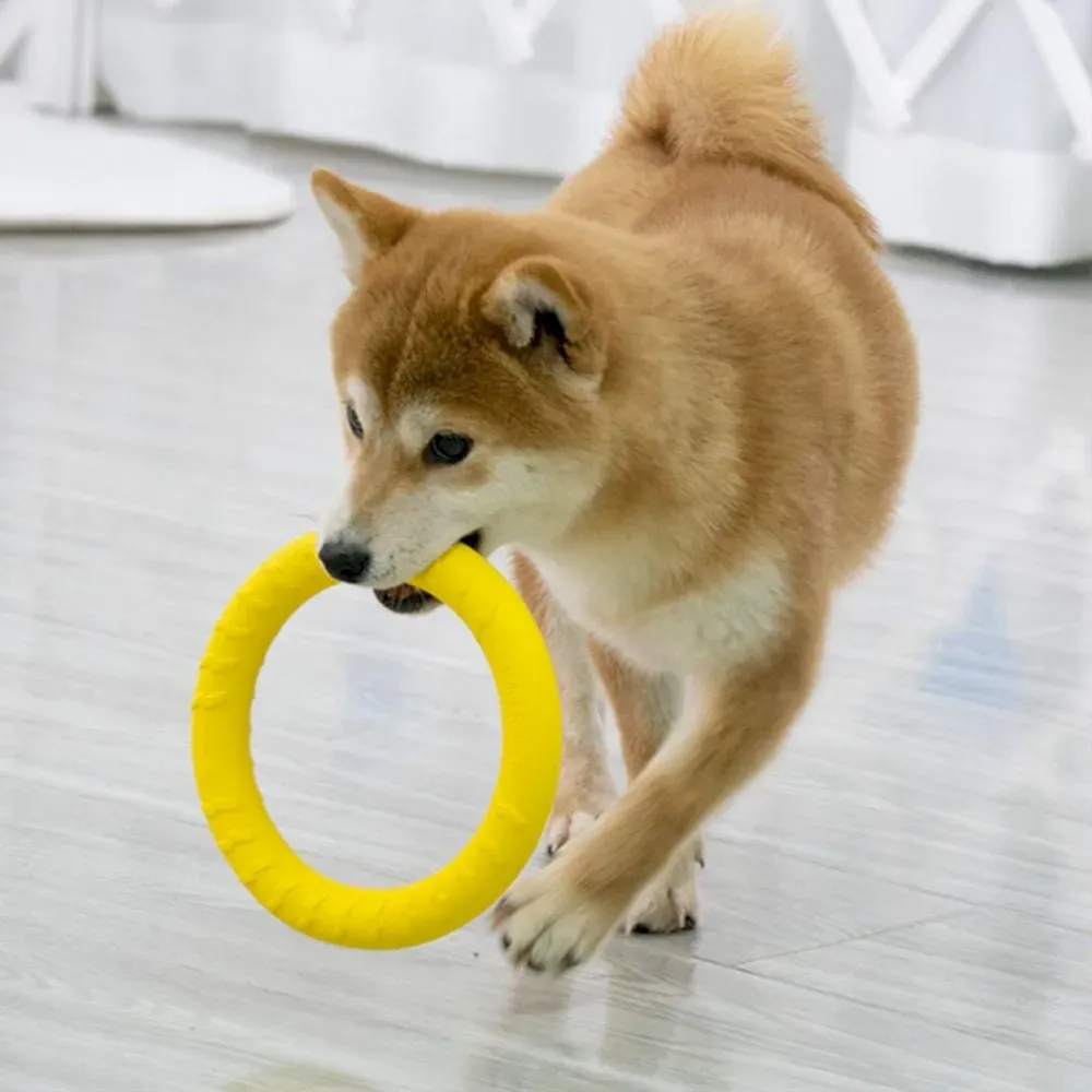 Dog Ring Toys bulk Dog Ring Toys bulk