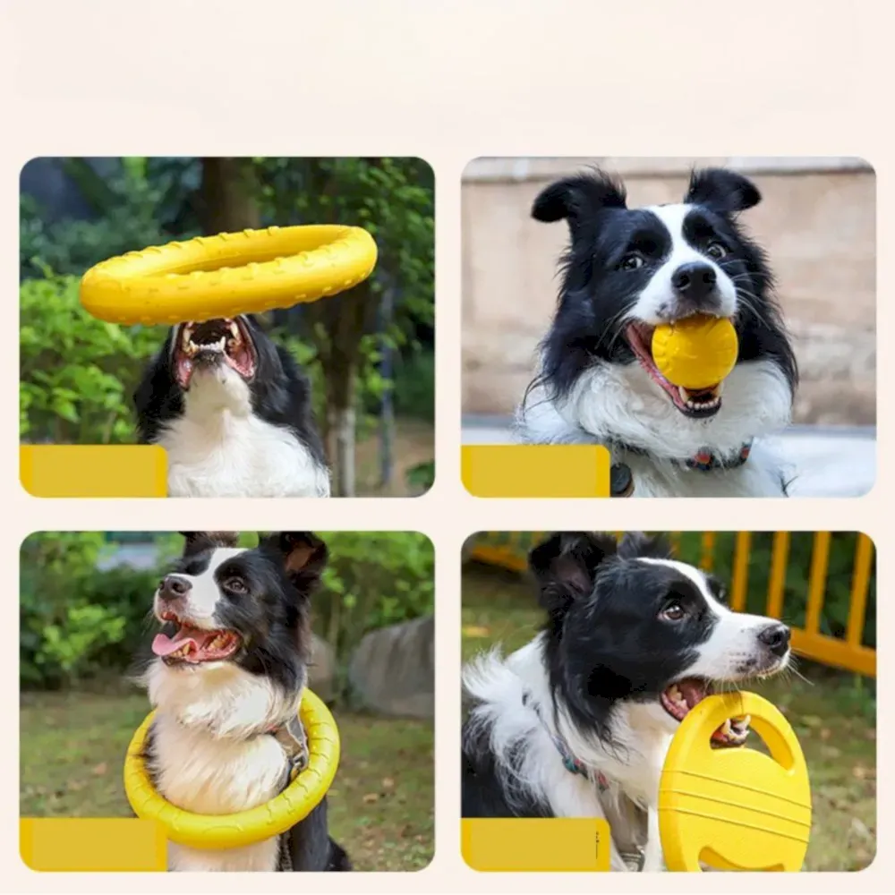 Dog Flying Disc Ring Toy Dog Flying Disc Ring Toy