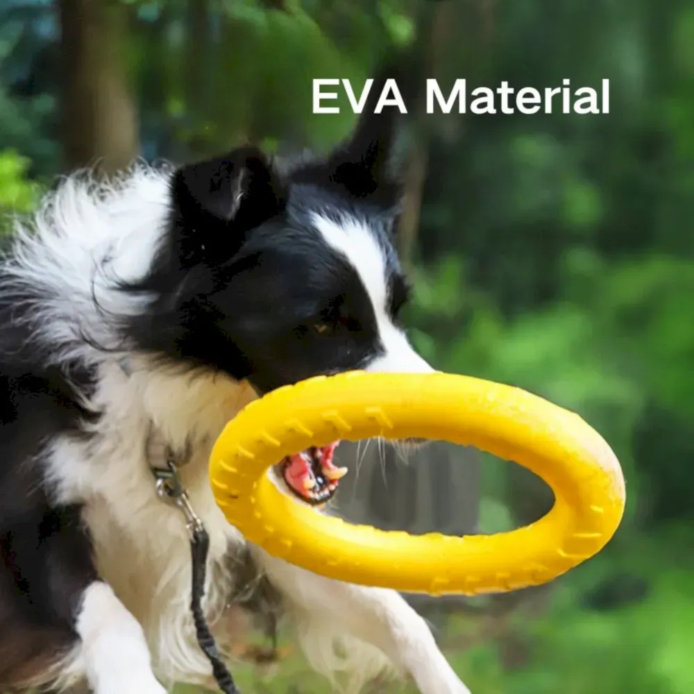 Dog Flying Disc Ring Dog Flying Disc Ring