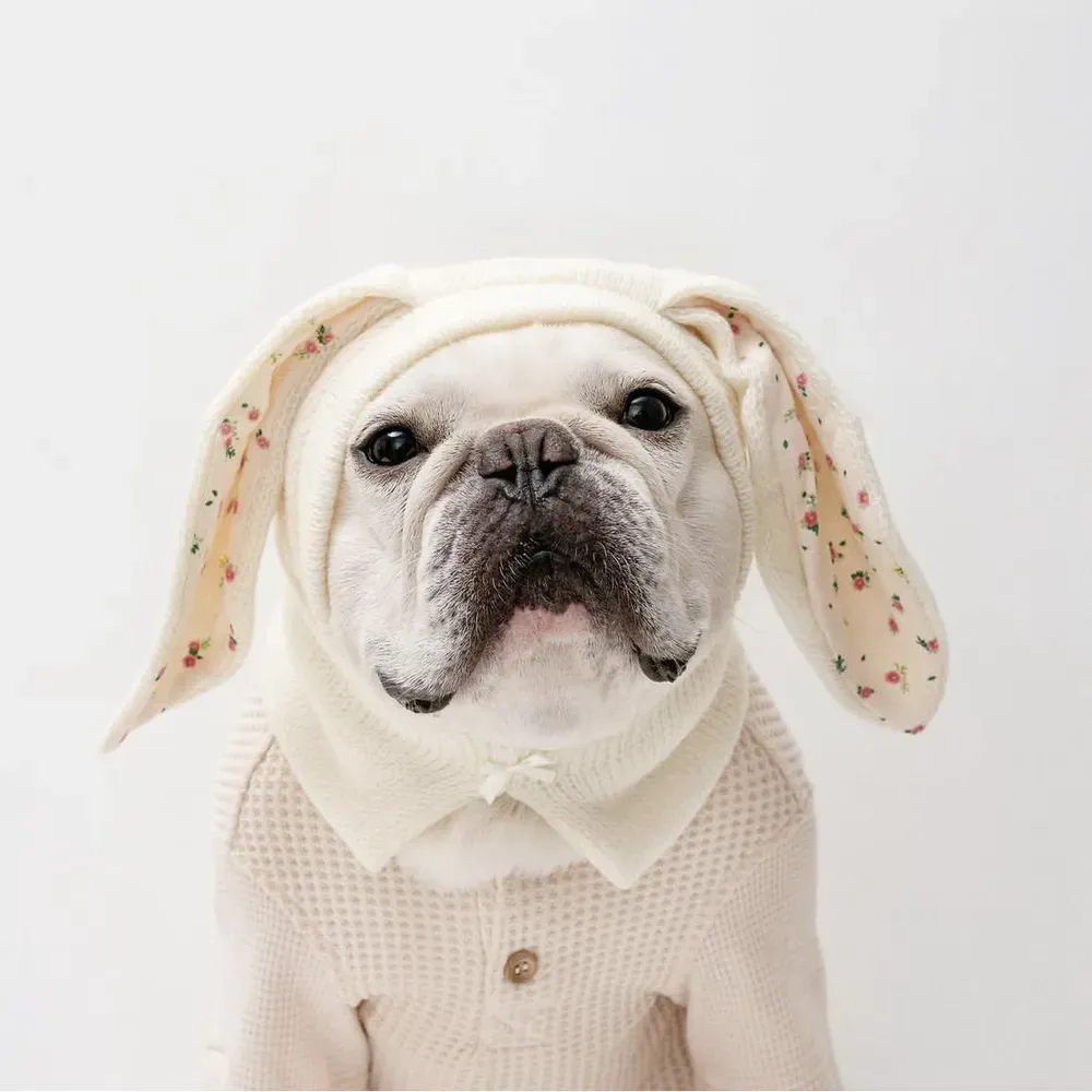 Winter pet accessory with bunny ears, knitted hat for cats and dogs, comfy and warm.