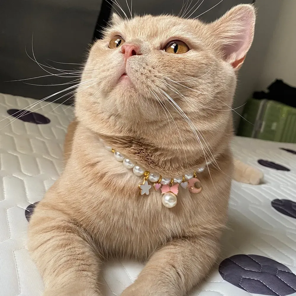 Adjustable Butterfly Bow Heart Star Moon Pet Necklace with Bell, Metal Buckle Cat &amp; Dog Collar
