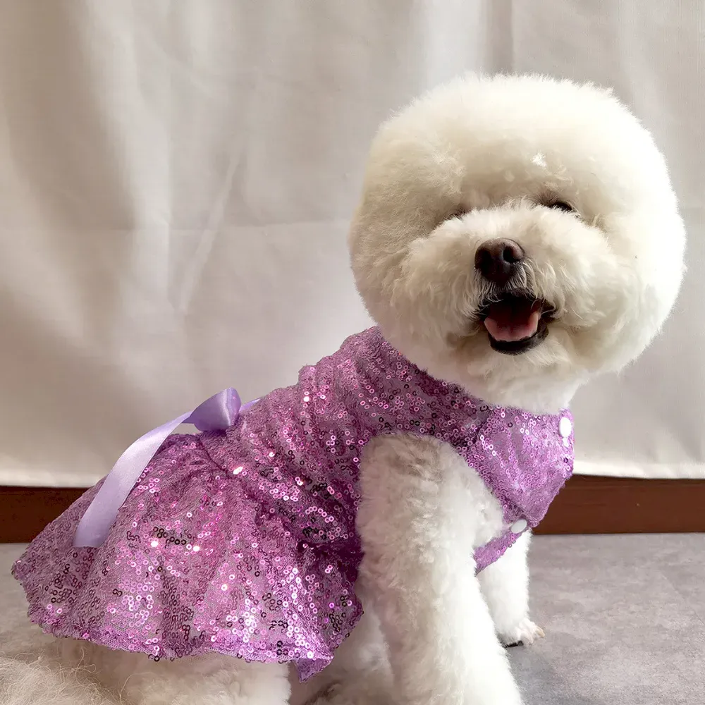 elegant pet clothing
