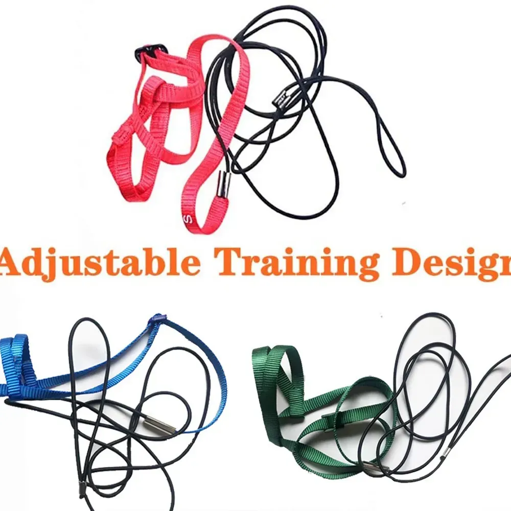 Parrot Bird Harness
