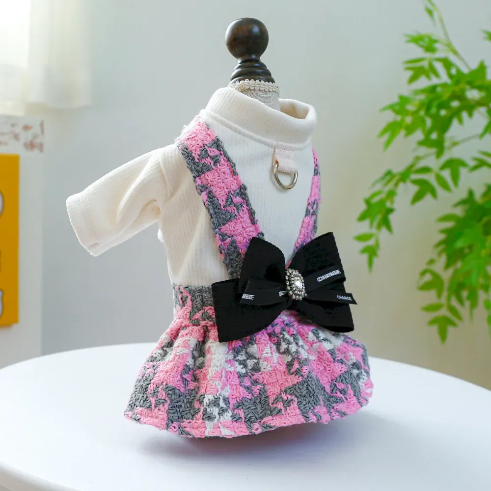 pet clothing for walks