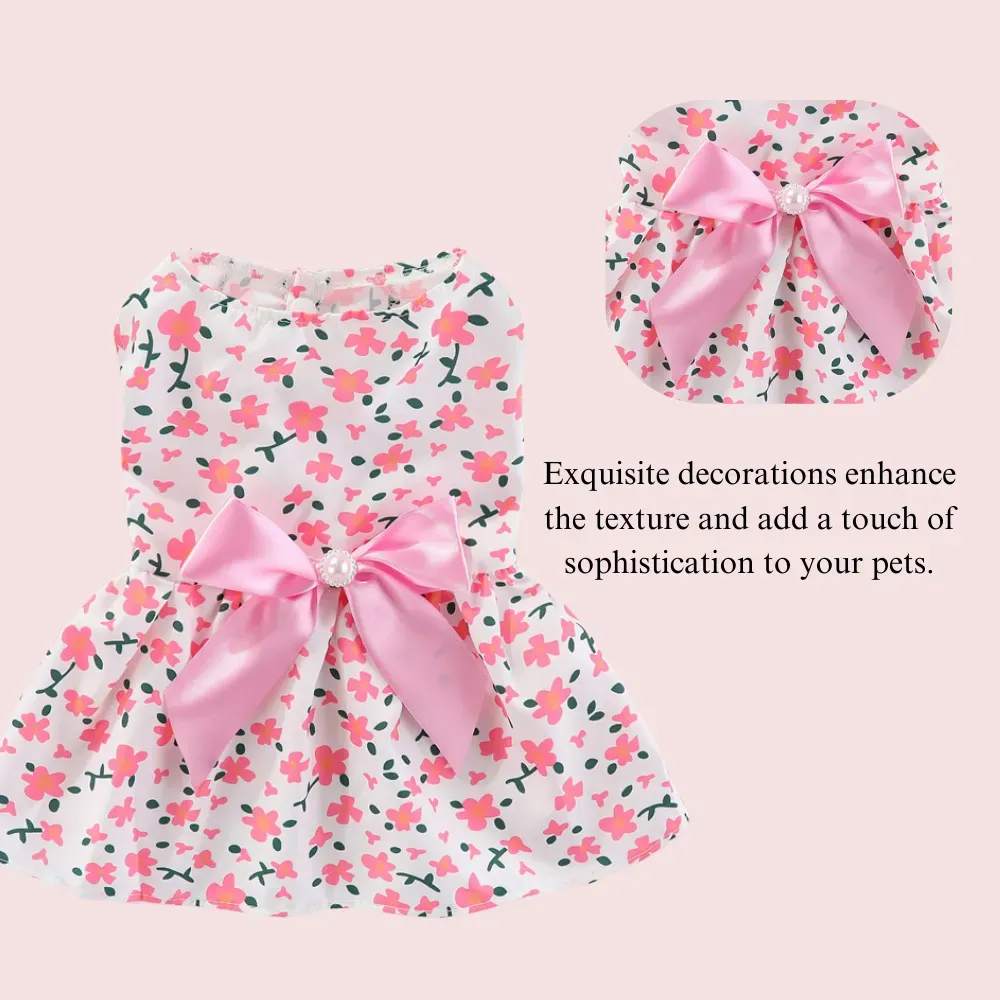 fashionable dog clothes