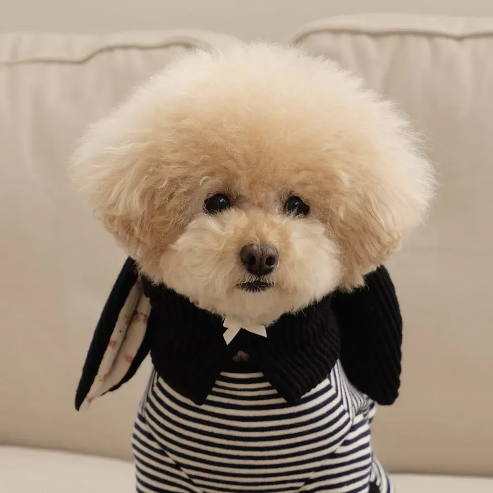 Comfortable Fit: The hat is designed with flexibility and comfort in mind, fitting most small to medium-sized pets. The soft materials ensure a snug, non-restrictive fit.
