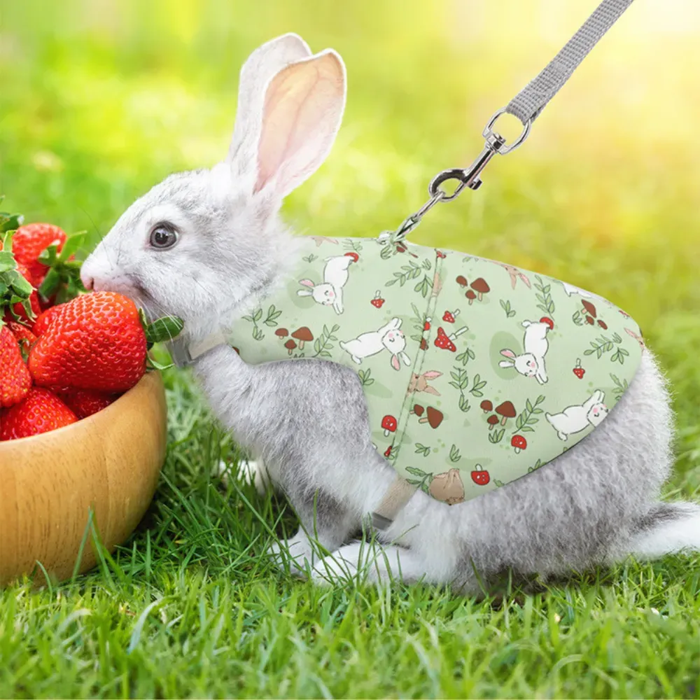Country-style pet harness and leash, ideal for rabbits and small pets.