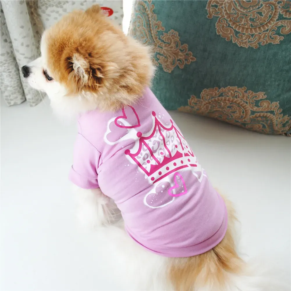 daily wear dog T-shirt