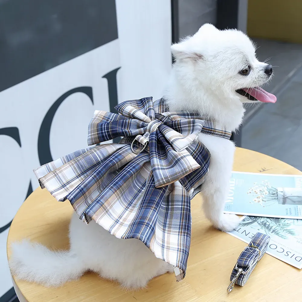 College Style Pet Dress with Large Bowknot