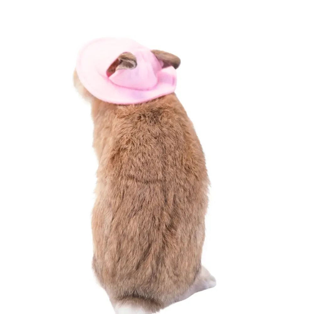 Comfortable and cute rabbit hat for pets, perfect for dressing up for themed parties and photoshoots.