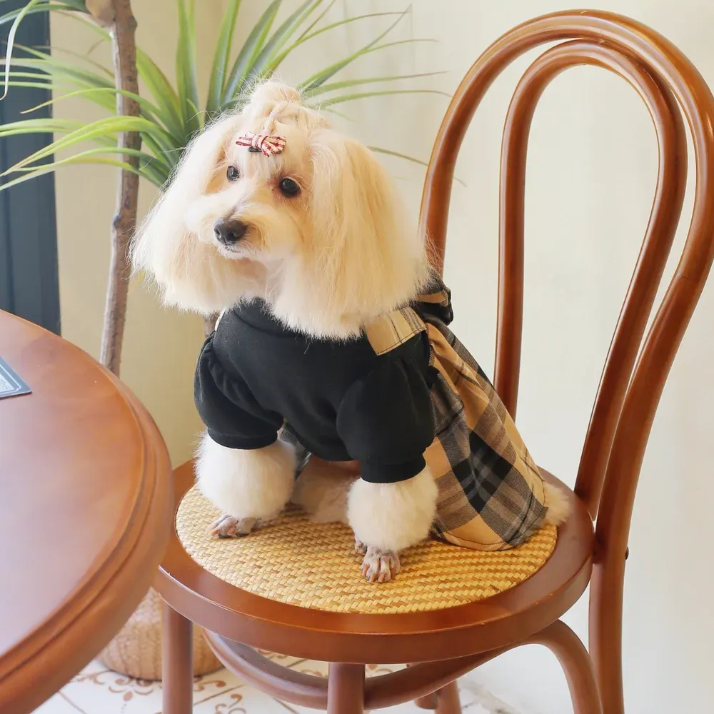 College Style Pet Dress with Large Bowknot