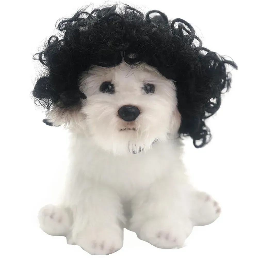 Afro-style wig for dogs, adjustable and comfortable, great for adding a fun look to your pet.