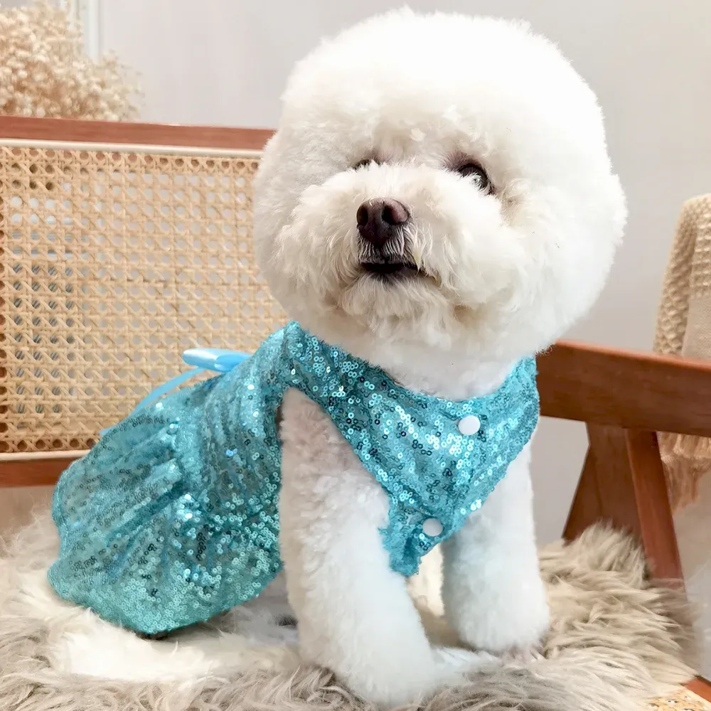 glamorous pet clothing
